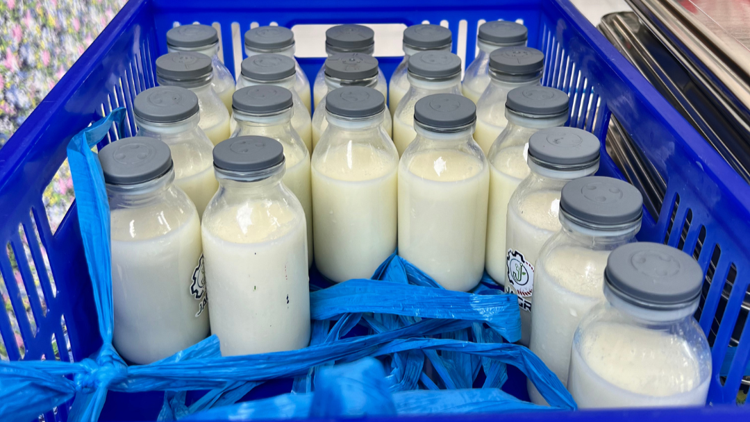 Penjelasan BGN Seluma Soal Manfaat Susu Sebagai Pelengkap Gizi Anak